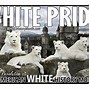 Image result for Black of White Race Genocide