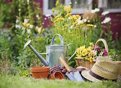 Image result for Outdoor Gardening