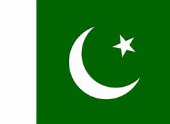 Image result for Pakistan Vlajka