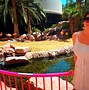 Image result for Flamingo Las Vegas Pool