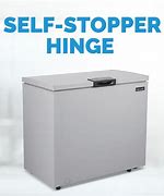 Image result for Chest Freezer Ice Plunge
