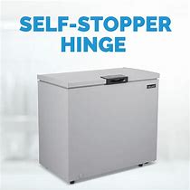 Image result for Small Chest Freezer for Sale