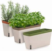 Image result for Window Sill Herb Planter Boxes Indoor