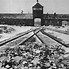 Image result for Josef Mengele in Auschwitz