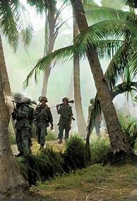 Image result for American Vietnam War Heroes