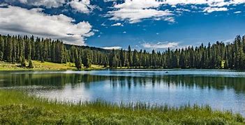 Image result for To Many People Grand Mesa National Forest