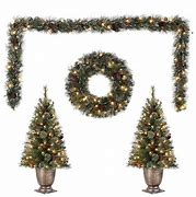 Image result for Living Christmas Trees at Lowe's