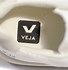 Image result for Veja V12 All White