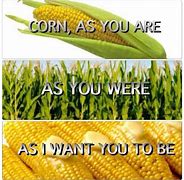 Image result for Corny Memes