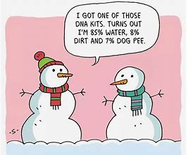 Image result for Funny Snow Jokes