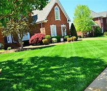 Image result for How to Maintain a Lawn
