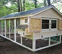 Image result for Small Backyard Chicken