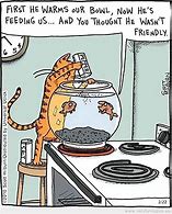 Image result for Funny Irony Cartoons