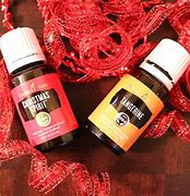 Image result for Christmas Diffuser