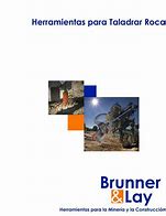 Image result for Brunner and Lay