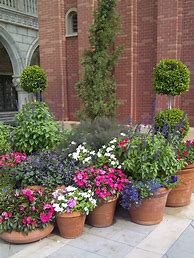 Image result for Potted Plant Garden Ideas