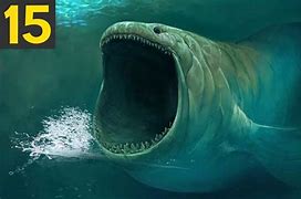 Image result for Most Dangerous Animal in Water