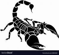 Image result for Scorpion Black and White