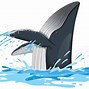 Image result for White Humpback Whale Cartoon