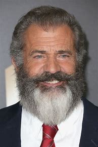 Image result for Mel Gibson Beard