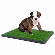Image result for Extra Large Dog Potty Pads