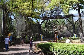 Image result for Mexico City Zoo