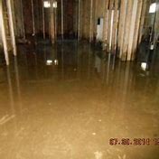 Image result for Flooded Basement Mold