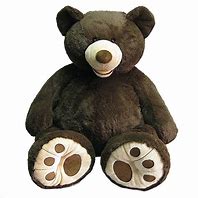 Image result for Costco Bear