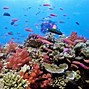 Image result for Fiji Underwater Hotel