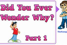 Image result for Ever Wonder Why Questions Funny