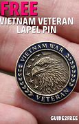 Image result for Vietnam War Veteran Pin