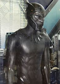Image result for Black Panther 2 Costume