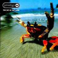 Image result for The Prodigy Album Covers