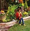 Image result for Flower Bed Box Ideas