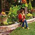 Image result for Planter Bed Ideas