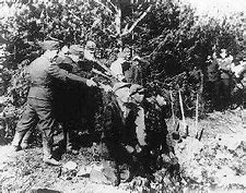 Image result for Einsatzgruppen Gestapo SS