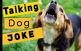 Image result for Talking Dog Jokes