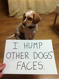 Image result for Funny Dog Quotes and Sayings
