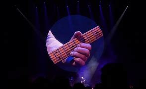 Image result for David Gilmour LiveCD Size Image