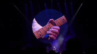 Image result for David Gilmour Oups
