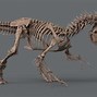 Image result for Indominus Rex Skeleton