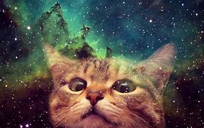 Image result for Kindle Fire Wallpaper Space Cat