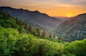 Image result for Newfound Gap Tennessee