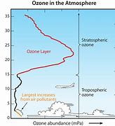Image result for Ozone Layer Location