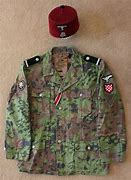 Image result for Waffen SS Photos