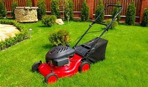 Image result for Mowers at Home Depot