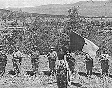 Image result for Algerian Independence War