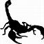 Image result for Transparent Scorpion