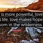 Image result for Hope and Love Quotes