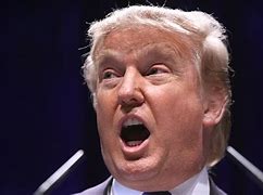 Image result for Trump Giving Speech